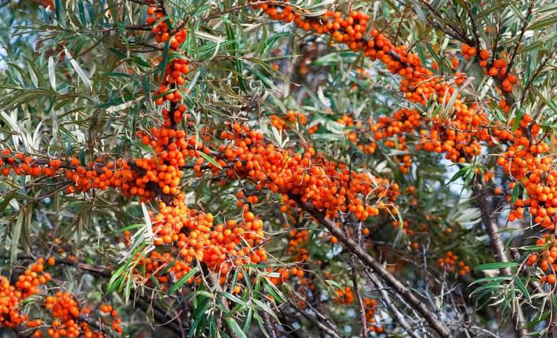 1691464675428326.png 1-2.png