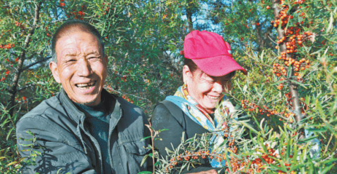 1691464699771108.png 1-3.png