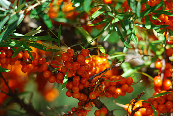 1692435537919317.png 2.png