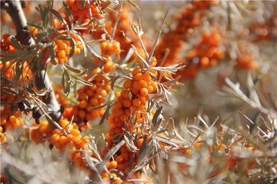 1692781424240113.png 图片1.png