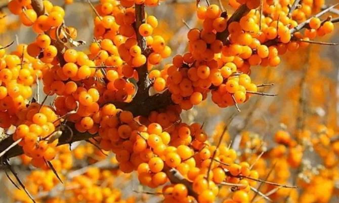 1692952018148288.png 图片1.png