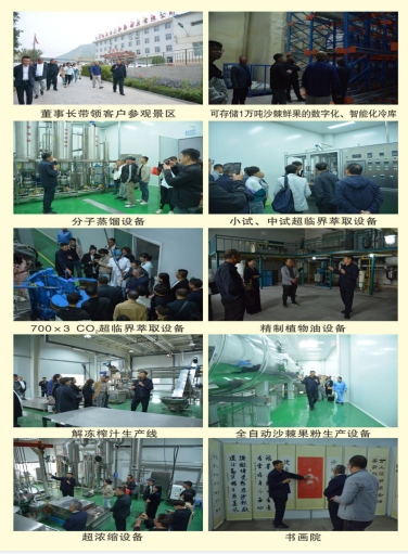 1695902530324974.png 222.png