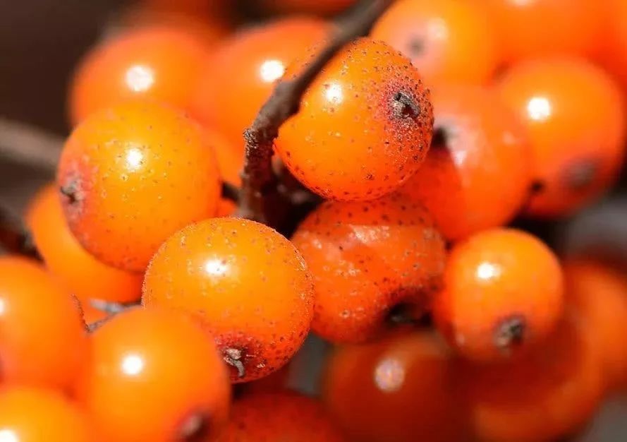 1697762243550635.jpg 333.jpg