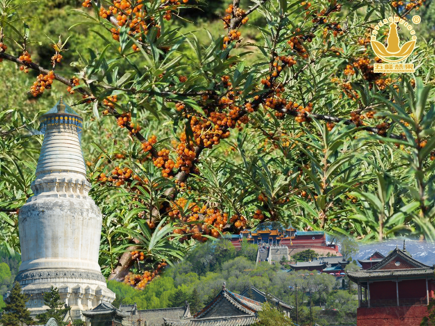 1697762307838734.png 图片1.png