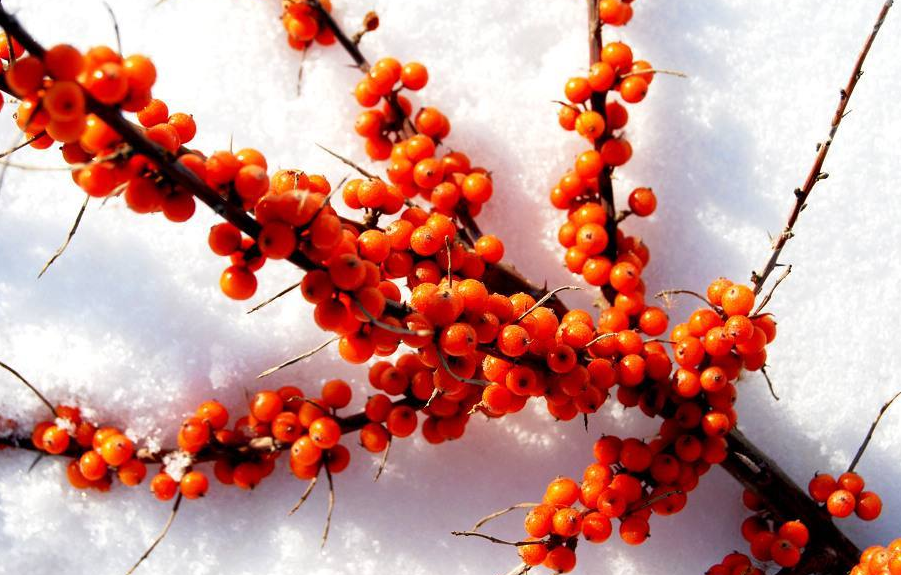 1699587287801286.png 微信图片_20230422164239.png