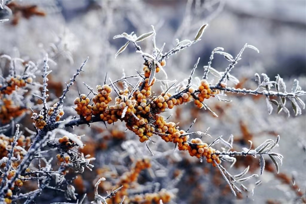 1700640640943120.jpg 微信图片_20231122111837.jpg