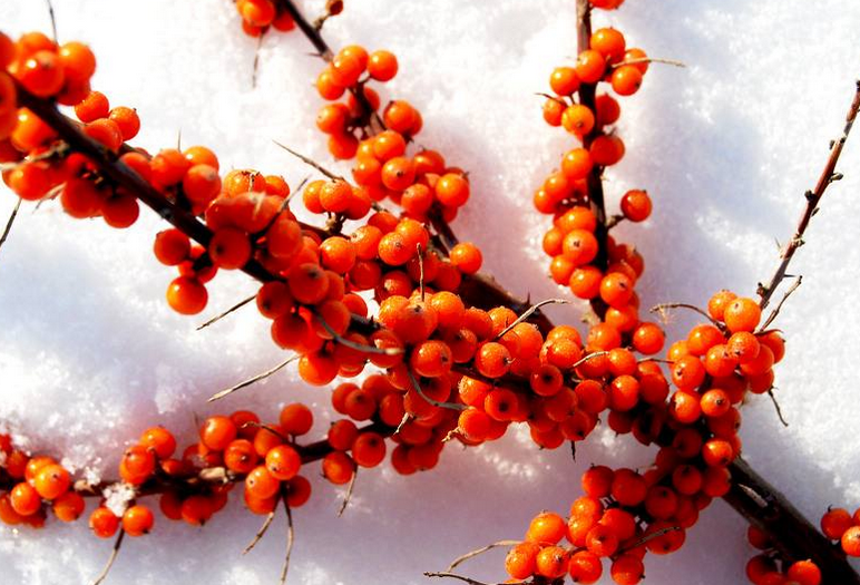 1702287194792645.png 6c71f5356c7743cf90faf95a42b45d1e.png