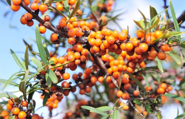 1704938766866559.png 图片2.png