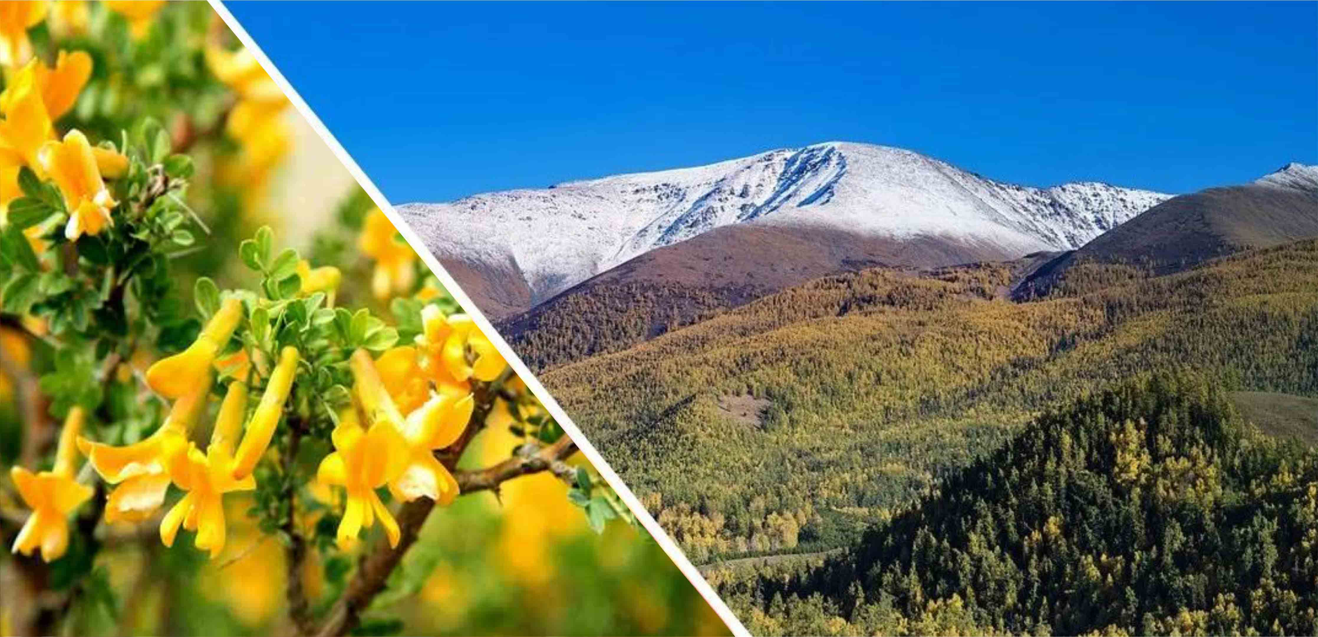 1712109070421854.jpg 222.jpg