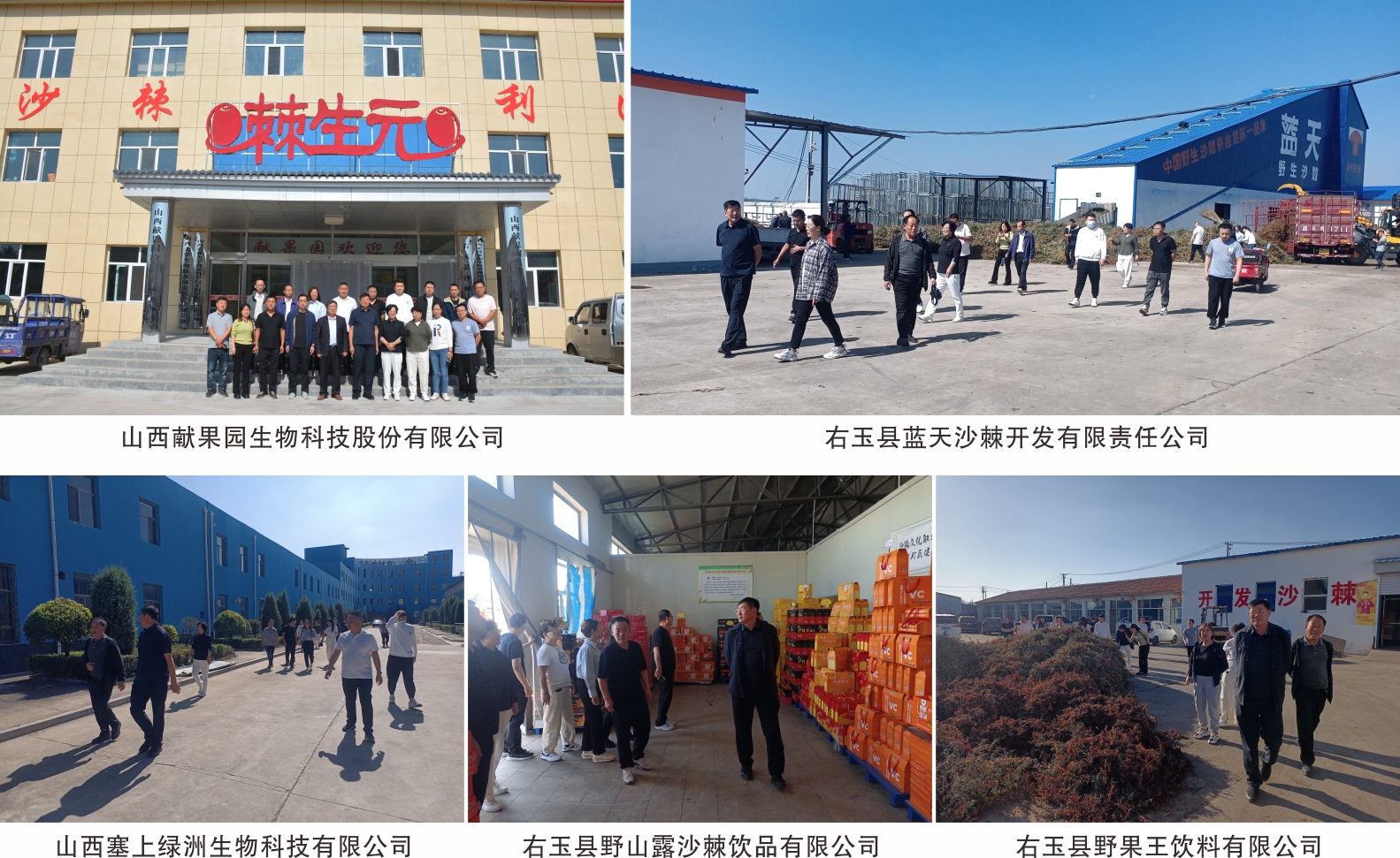 1727399287794359.jpg 03.jpg