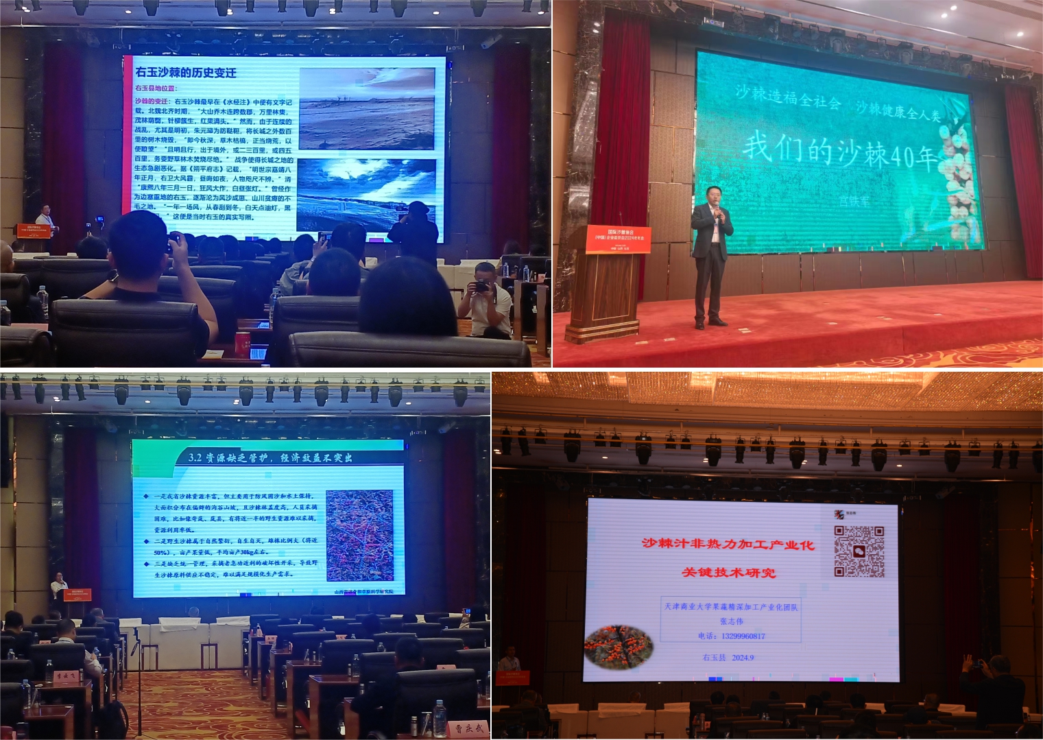 1727399335887669.jpg 04.jpg