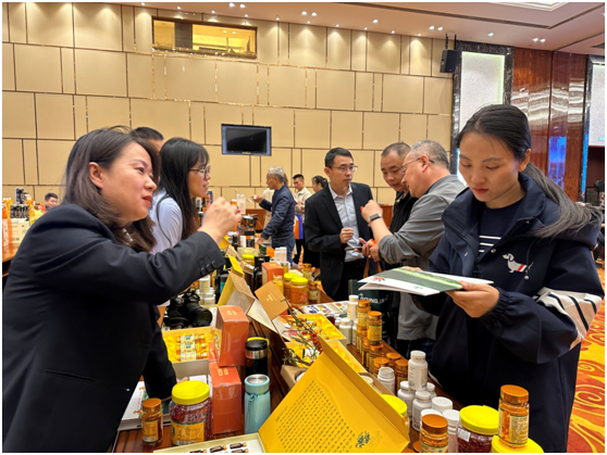 1727399583647255.png 06.png