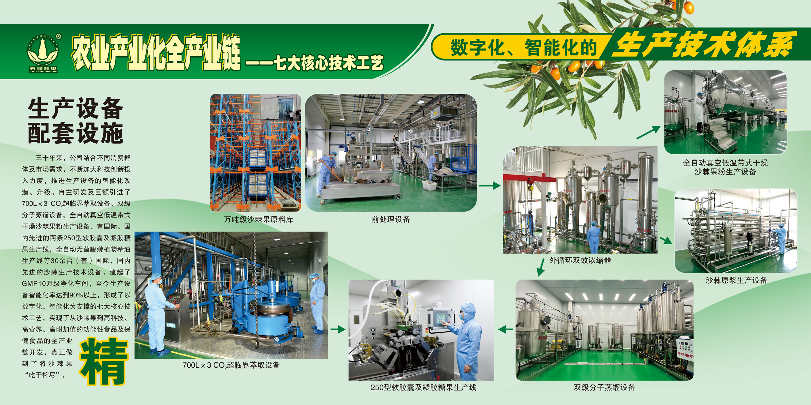 1730075904392260.jpg 222.jpg