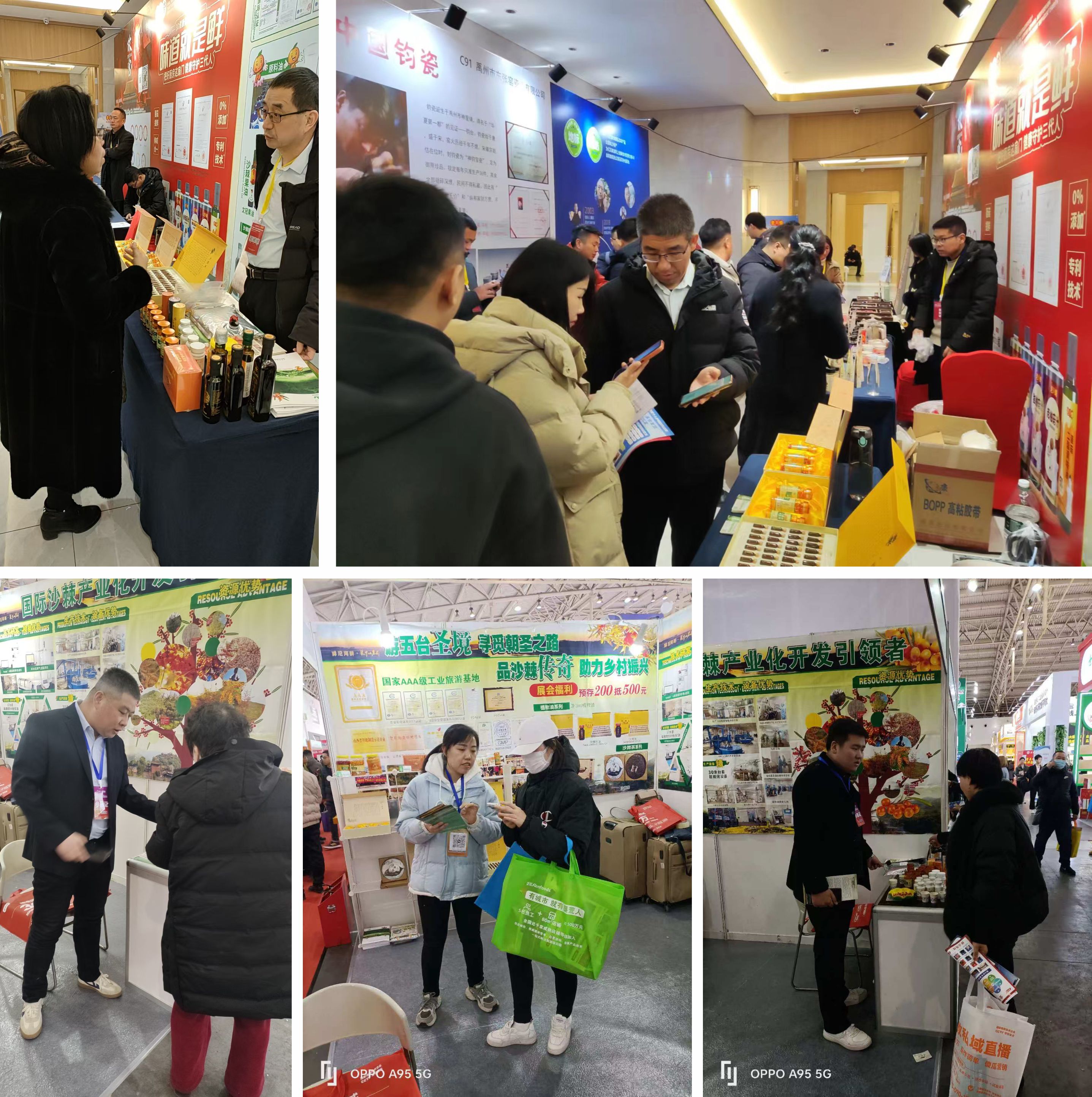 1739784950681515.jpg 微信图片_20250217164653.jpg