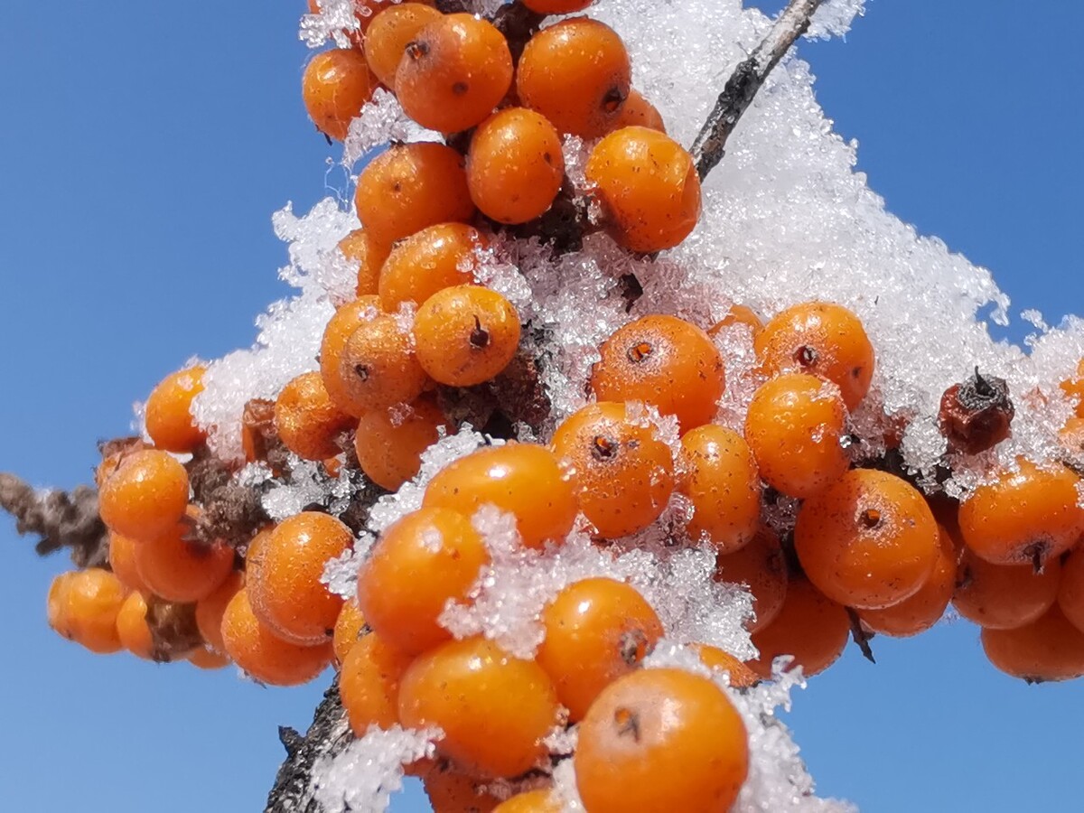 1739865623139963.jpg 1293484073.jpg