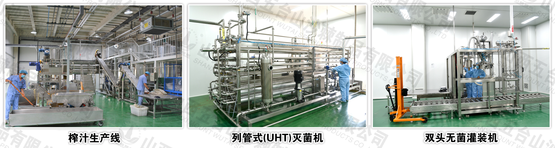 1740107934143619.jpg 222.jpg