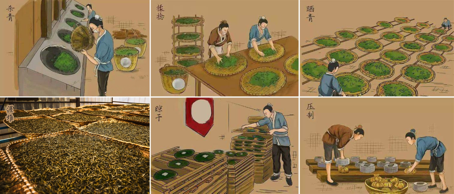 1742290413973291.jpg 微信图片_20240612102807.jpg