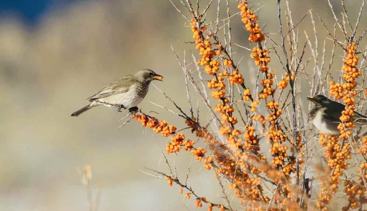 1747905117956472.jpg 微信图片_20250522142135.jpg