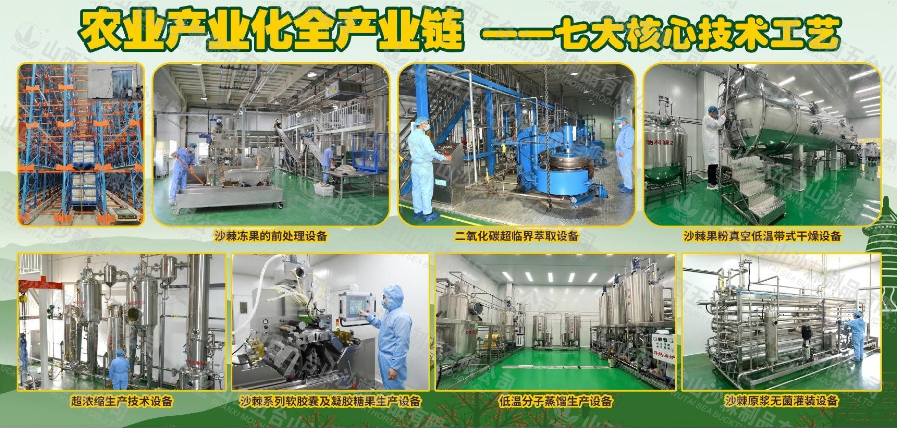 1751005359616266.jpg 微信图片_20250627142224.jpg