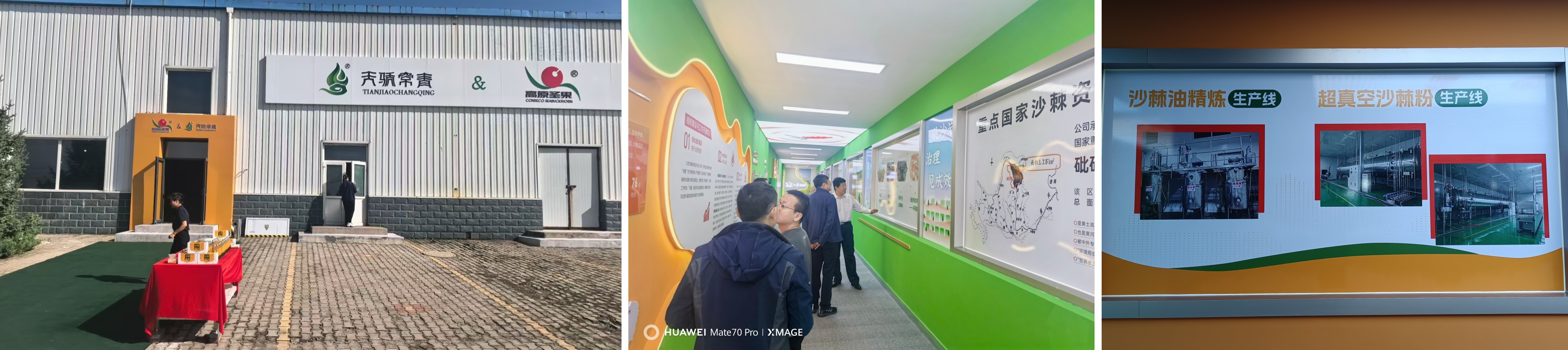 1757053656476369.jpg 006.jpg